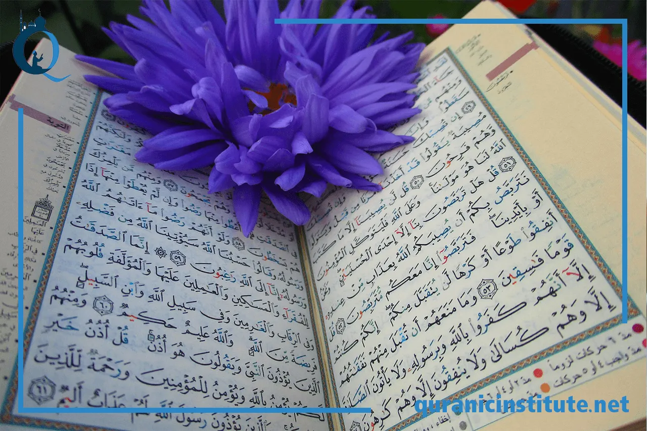 online teacher quran